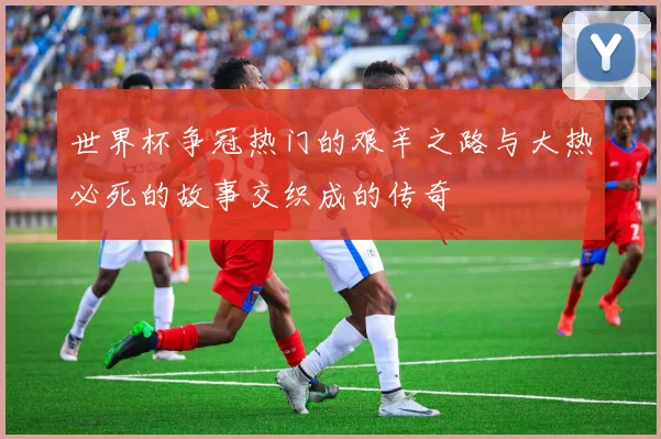 世界杯争冠热门的艰辛之路与大热必死的故事交织成的传奇